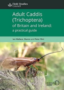 Image for Adult Caddis (Trichoptera) of Britain and Ireland: a practical guide