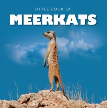 Image for Little Book of Meerkats