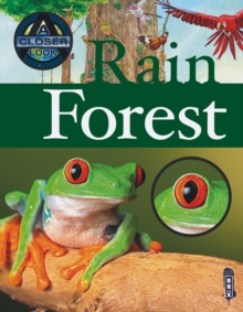 Image for A closer look at rain forest