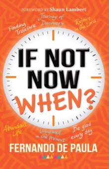Image for If Not Now, When?