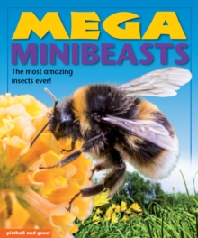 Image for Mega Minibeasts