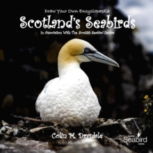 Image for Draw Your Own Encyclopaedia Scotland's Seabirds