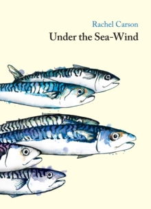 Image for Under the Sea Wind