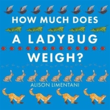 Image for How Much Does a Ladybird Weigh?