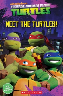 Image for Meet the turtles!