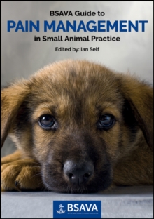 Image for BSAVA guide to pain management in small animal practice