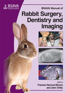 Image for BSAVA manual of rabbit surgery, dentistry and imaging
