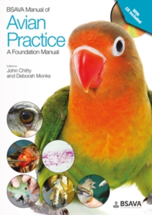 Image for Bsava Manual of Avian Practice