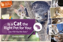 Is a Cat the Right Pet for You: Can You Find the Facts?