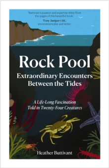 Image for Rock pool  : extraordinary encounters between the tides