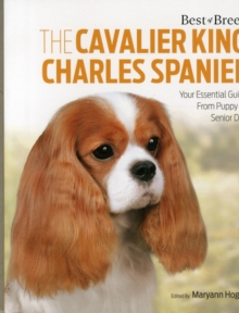 Cavalier King Charles Spaniel Best of Breed