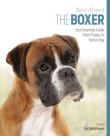 Image for Boxer Best of Breed