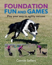 Foundation Fun And Games: Play Your Way To Agility Success