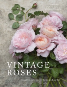 Vintage Roses: Beautiful varieties for home and garden