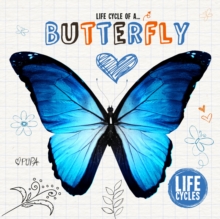 Life cycle of a... butterfly - Jones, Grace