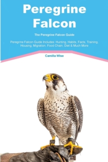 Image for Peregrine Falcon the Peregrine Falcon Guide Peregrine Falcon Guide Includes