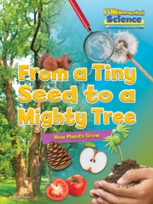 Image for From a tiny seed to a mighty tree  : how plants grow