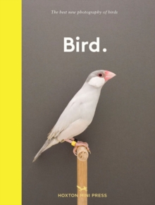 Bird.: The best new photography of birds