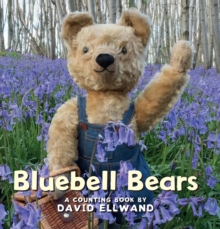 Image for Bluebell bears  : a counting book