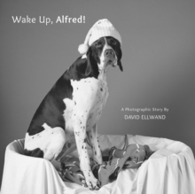 Image for Wake up, Alfred!