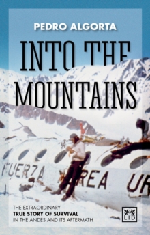 Image for Into the mountains  : the extraordinary true story of survival in the Andes and its aftermath