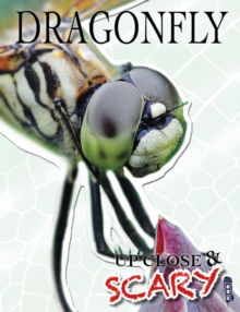 Image for Dragonfly