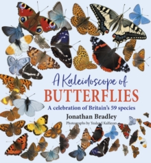 Image for A kaleidoscope of butterflies  : a celebration of Britain's 59 species