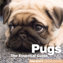 Image for Pugs  : the essential guide