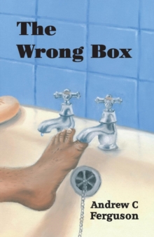 Image for The wrong box