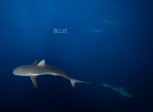 Image for Call of the Blue