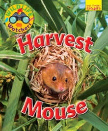 Image for Wildlife Watchers: Harvest Mouse