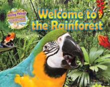 Image for Welcome to the Rainforest