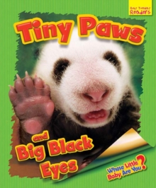 Image for Whose Little Baby Are You? Tiny Paws and Big Black Eyes