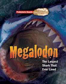 Megalodon: The Largest Shark That Ever Lived