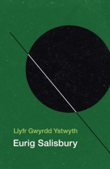 Image for Llyfr Gwyrdd Ystwyth