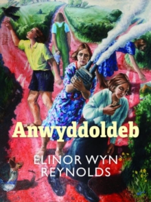 Image for Anwyddoldeb