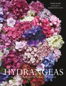 Hydrangeas: Beautiful Varieties for Home and Garden