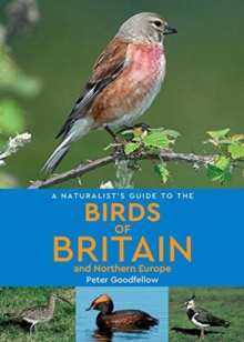 Image for A naturalist's guide to birds of Britain & Northern Europe
