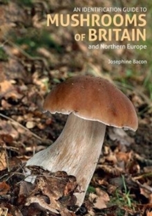 Image for An Identification Guide to Mushrooms of Britain and Northern Europe (2nd edition)