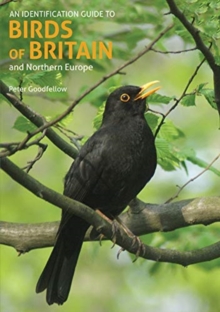 Image for An identification guide to birds of Britain and Northern Europe
