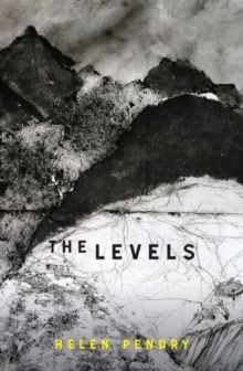 Image for The levels