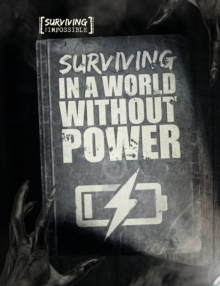 Image for Surviving in a world without power