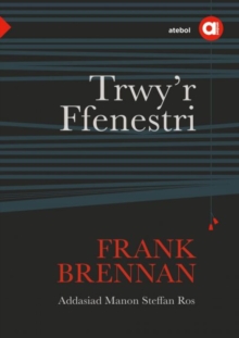 Image for Cyfres Amdani: Trwy'r Ffenestri