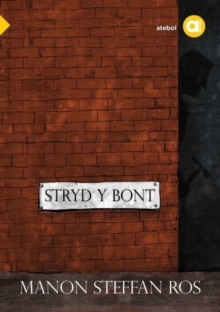 Image for Cyfres Amdani: Stryd y Bont
