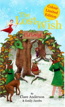 Image for The Lost Wish