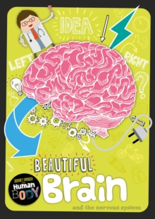 Image for Beautiful brain and the nervous system