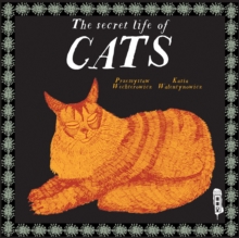 Image for The secret lives of cats