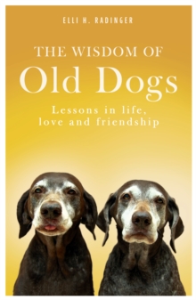 Image for The wisdom of old dogs  : lessons in life, love and friendship