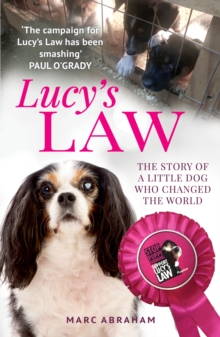 Image for Lucy's law : the story of a little dog who changed the world