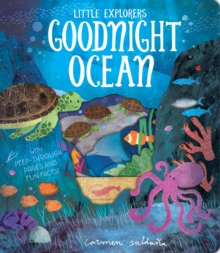 Image for Goodnight ocean  : with peep-through pages and fun facts!